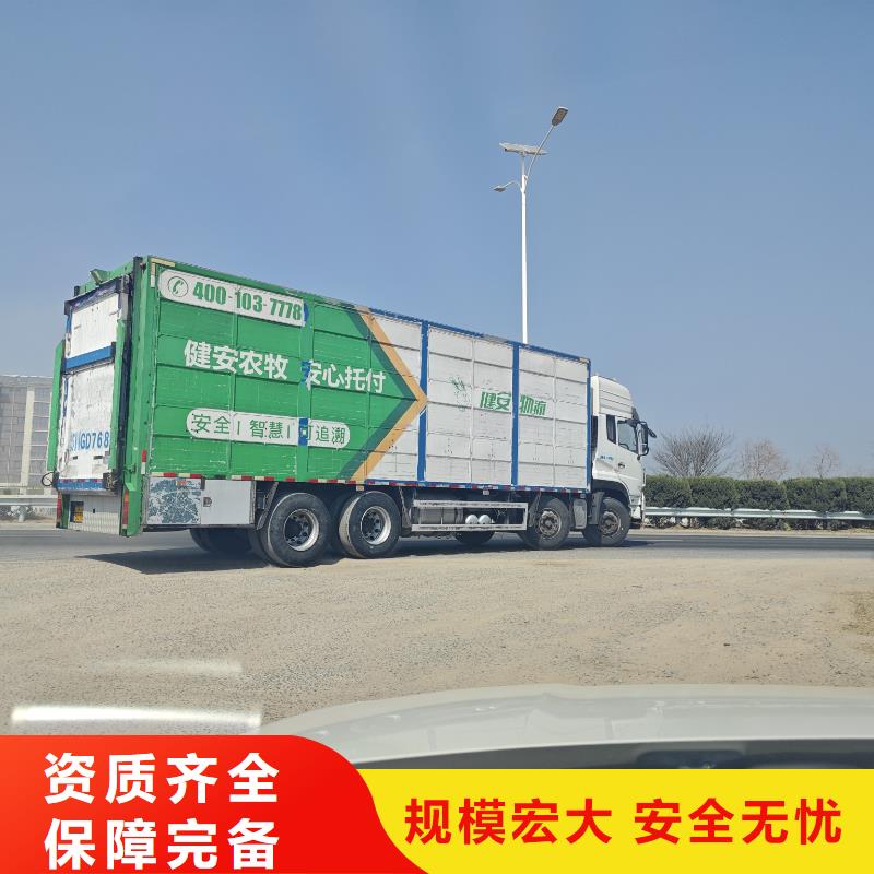 宿迁市泗阳到莱芜牲畜运输全程呵护