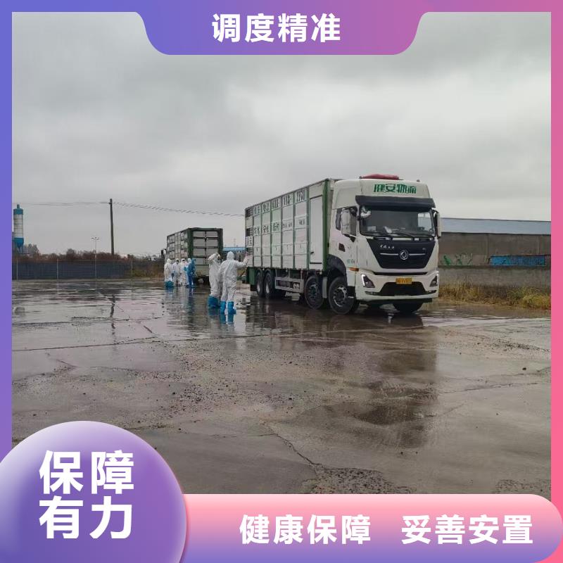 宿迁到莱芜猪笼车物流服务零距离