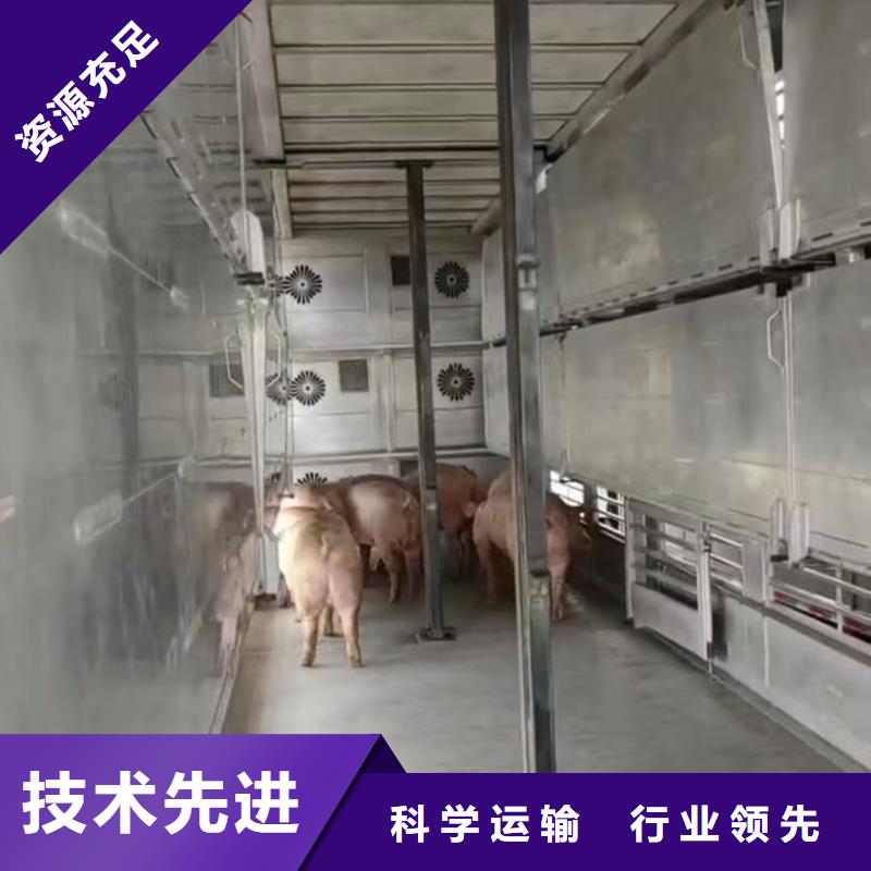 宿迁市泗洪到莱芜高栏车肥猪运输透明