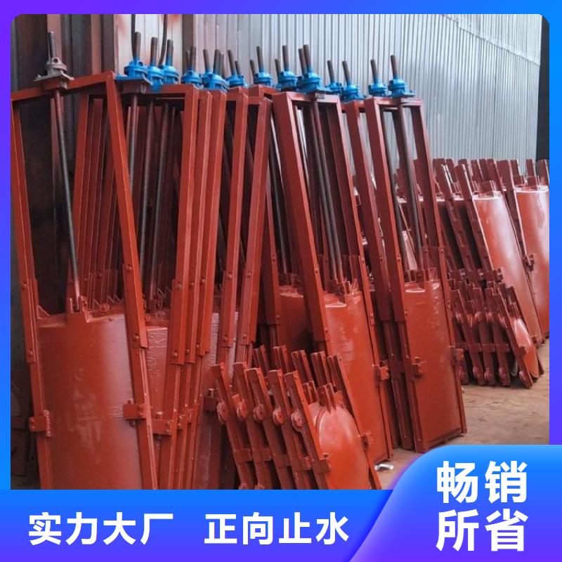 玉林排灌启闭机闸门铸铁闸门实力商家供货稳定