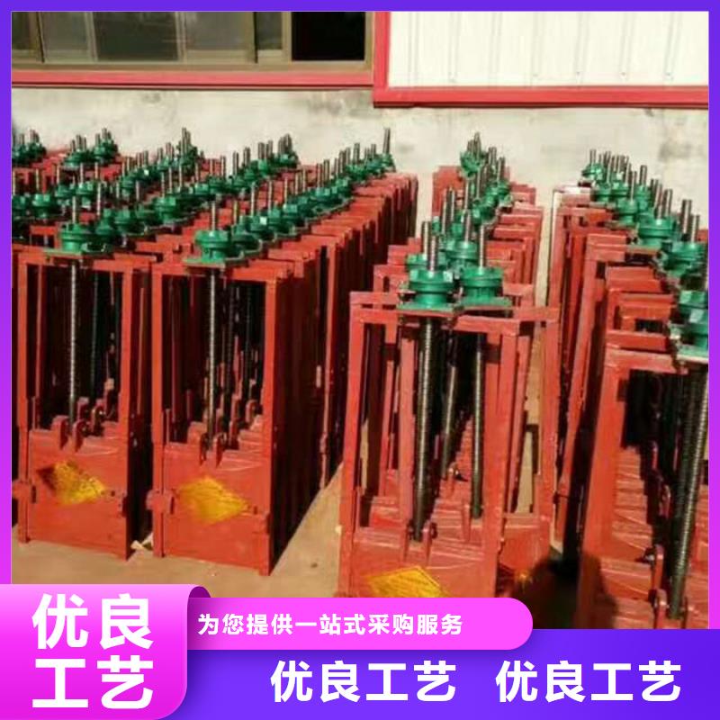 双向镶铜铸铁闸门用心经营不断创新