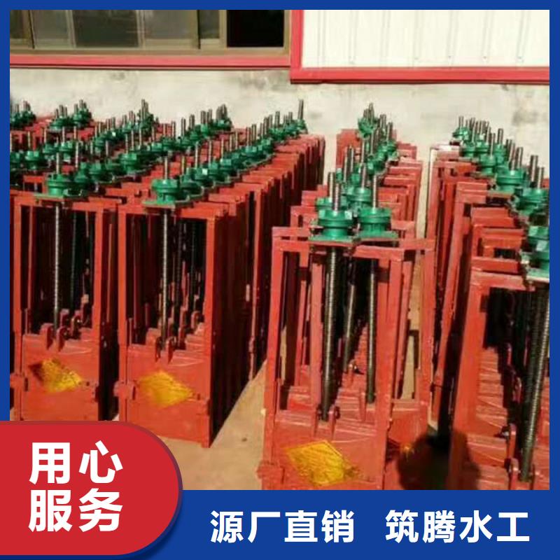 PZJY一体式铸铁闸门用心经营实力优品
