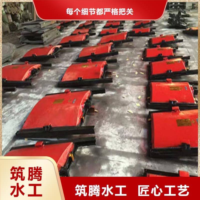 渠道闸门型号齐全国标检测放心购买