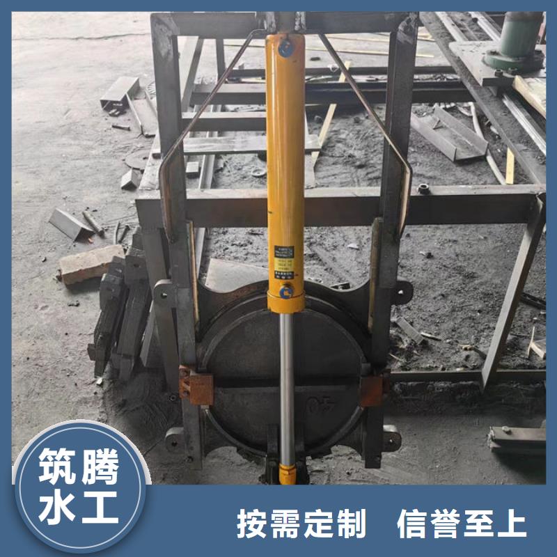 平面铸铁闸门源头厂家经验丰富品质可靠