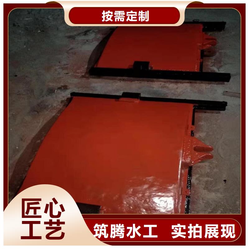 双向镶铜铸铁闸门用心经营好品质售后无忧