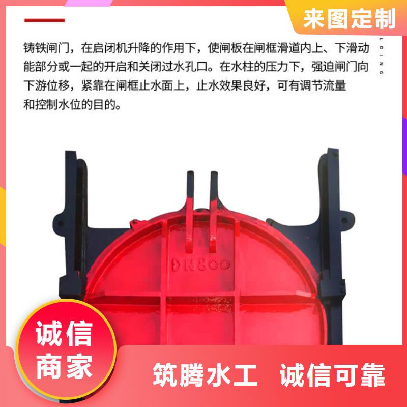 机闸一体式闸门诚信为本质检合格出厂