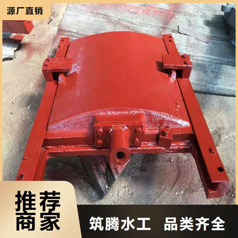 铸铁镶铜闸门型号齐全服务至上