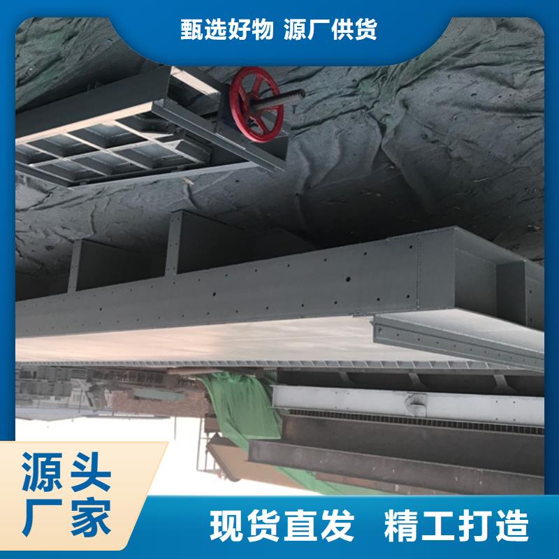 钢闸门固定卷扬式启闭机品质保障售后无忧现货直发