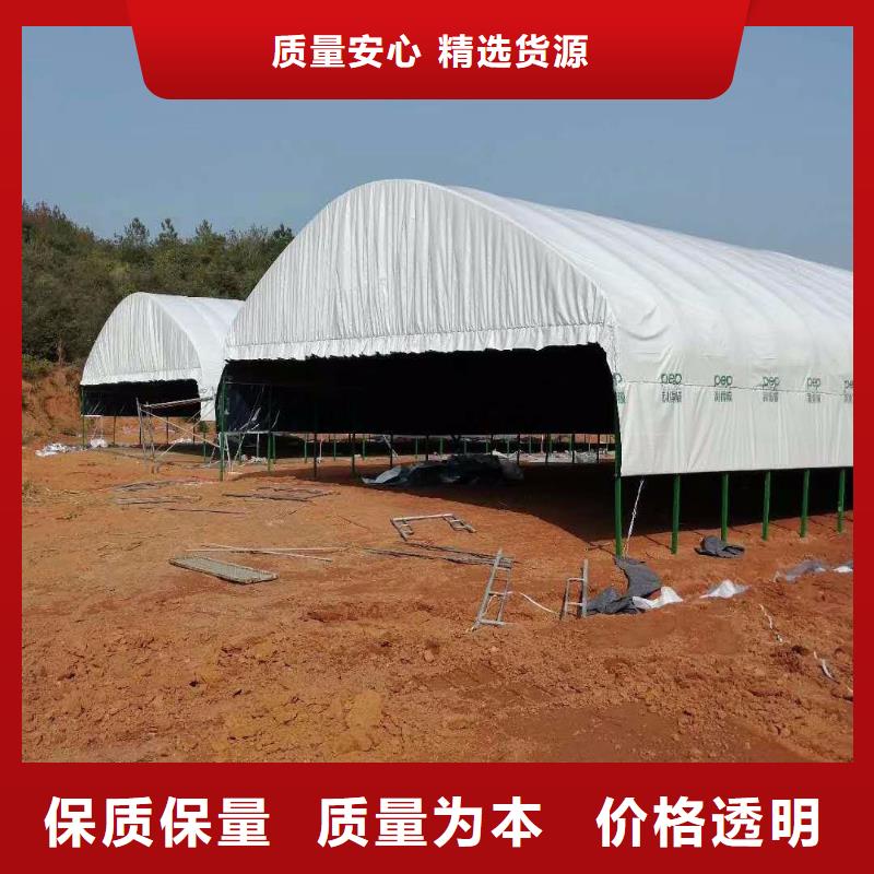 大棚管椭圆管温室大棚有实力有经验品牌专营