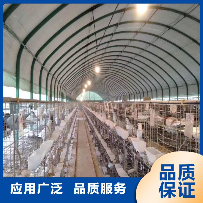 大棚管2蔬菜温室大棚管实拍展现厂家