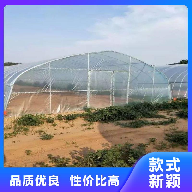 大棚管2-方管种类多质量好同城生产厂家