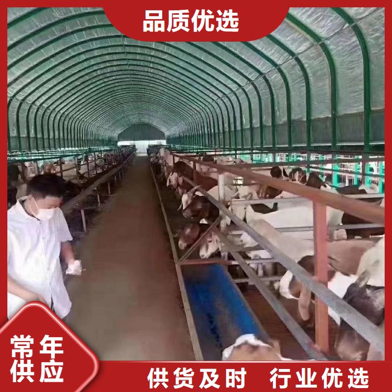 大棚管-蔬菜温室大棚管诚信商家优选好材铸造好品质