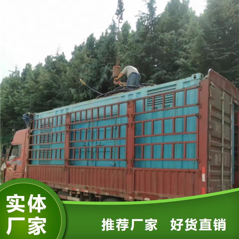 箱变出租同城供应商