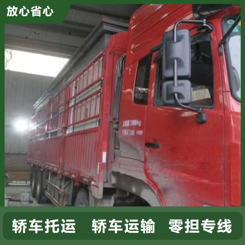 安阳物流乐从到安阳货物运输公司展会物流运输