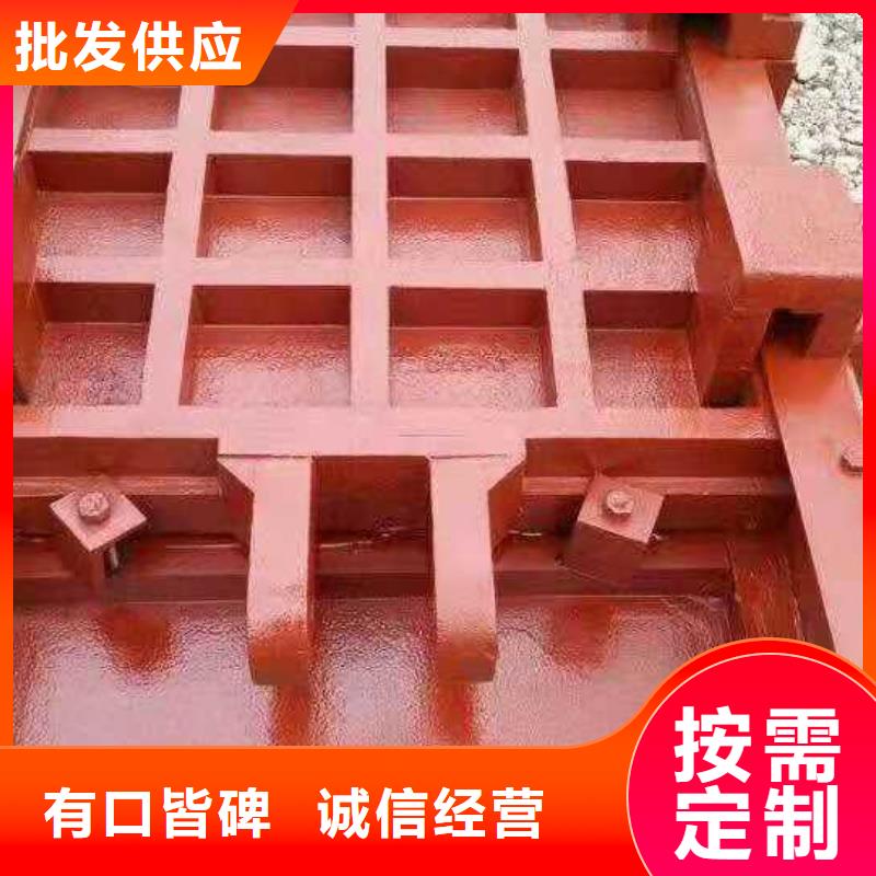 水电站铸铁闸门免费指导安装货到付款