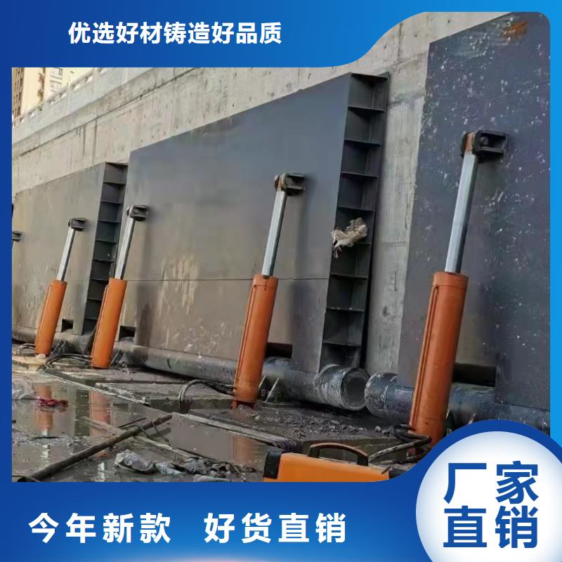 景观钢闸门可定制让利客户