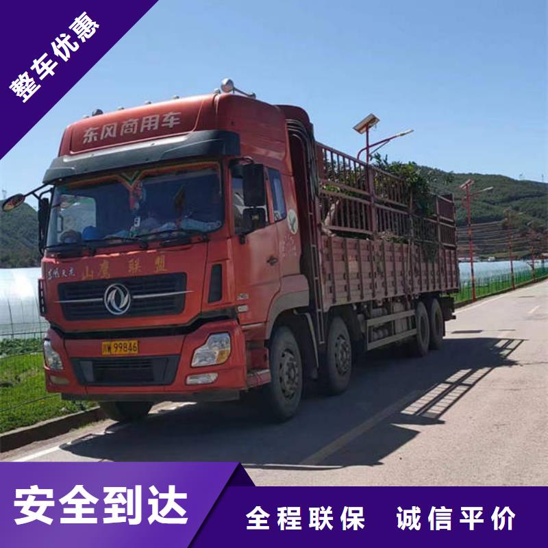 成都到平凉回程车调配公司运费货损,财务规范,资质合规