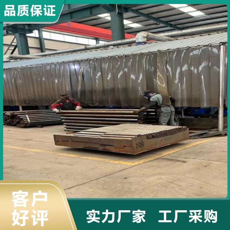 景观护栏-栈道栏杆做工精细真实拍摄品质可靠