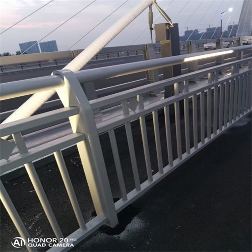 护栏_【市政护栏】价格低本地货源