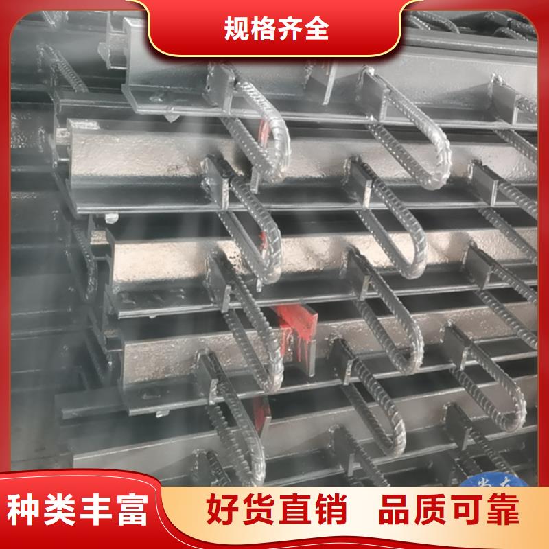 桥梁伸缩缝,网架钢支座厂家货源稳定细节严格凸显品质