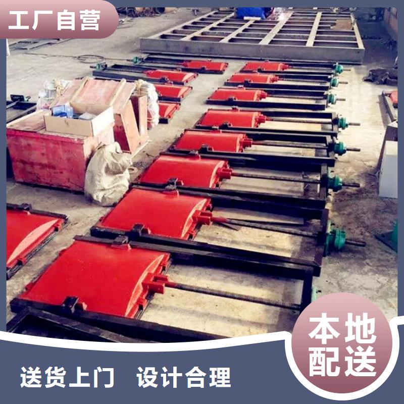 铸铁闸门泵站清污机品质做服务本地货源