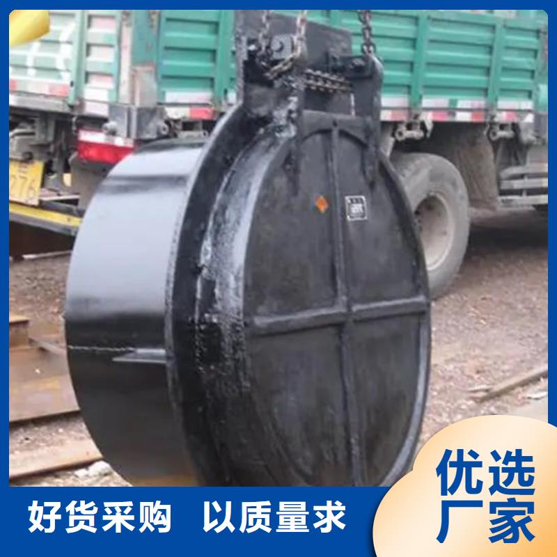 拍门铸铁拍门专业生产团队诚信为本
