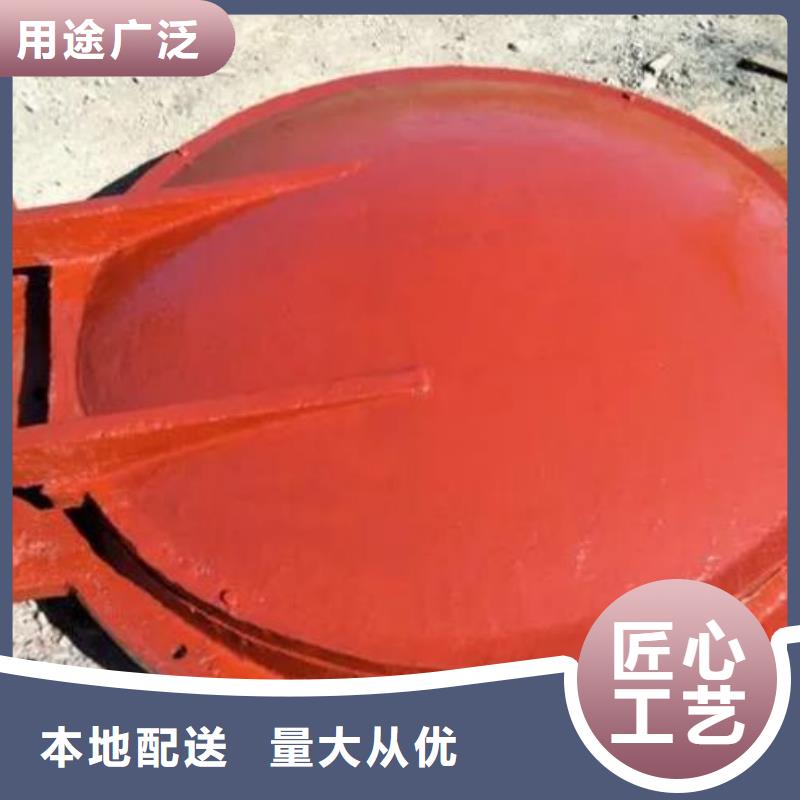 【拍门,钢制拍门厂家精挑细选好货】本地供应商