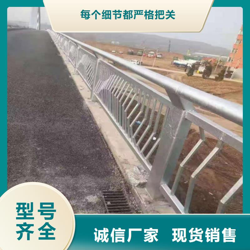 道路护栏,灯光护栏原厂制造同城厂家