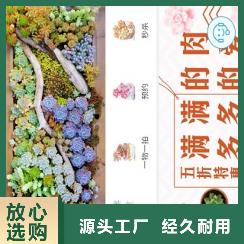 小程序制作,【点餐小程序】质优价廉应用广泛