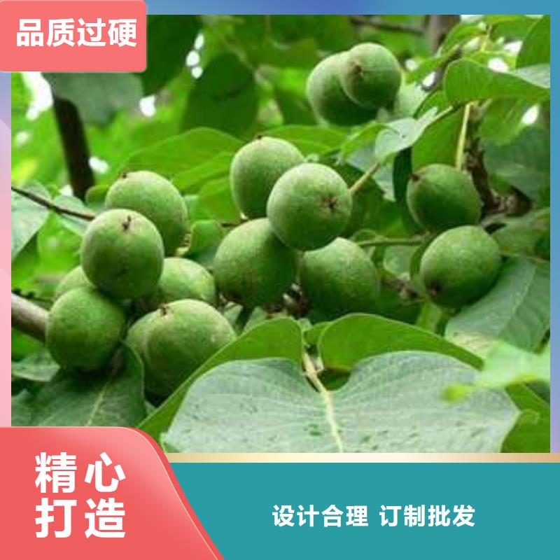 【杜梨-山桃苗定制销售售后为一体】的简单介绍