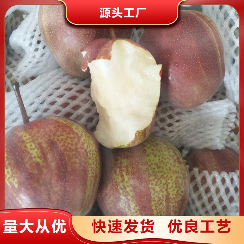 梨树蓝莓苗厂家直发本地经销商