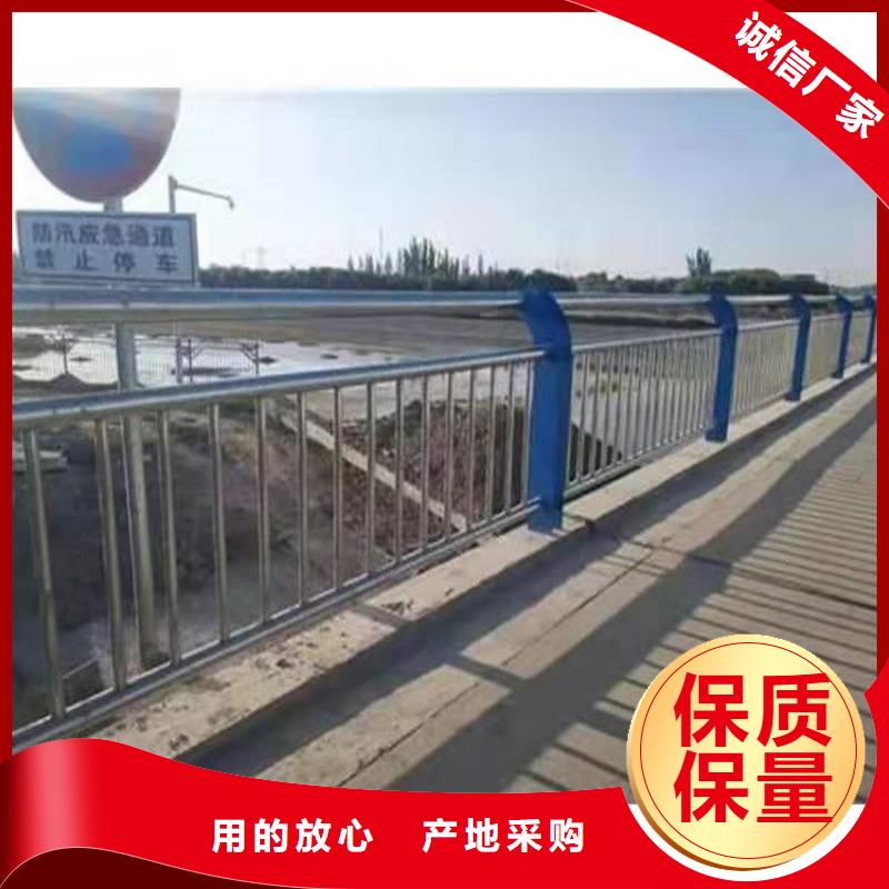 桥梁护栏_防撞护栏敢与同行比服务精致工艺