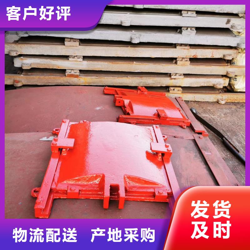 铸铁闸门-平板铸铁镶铜闸门终身维护当地生产厂家