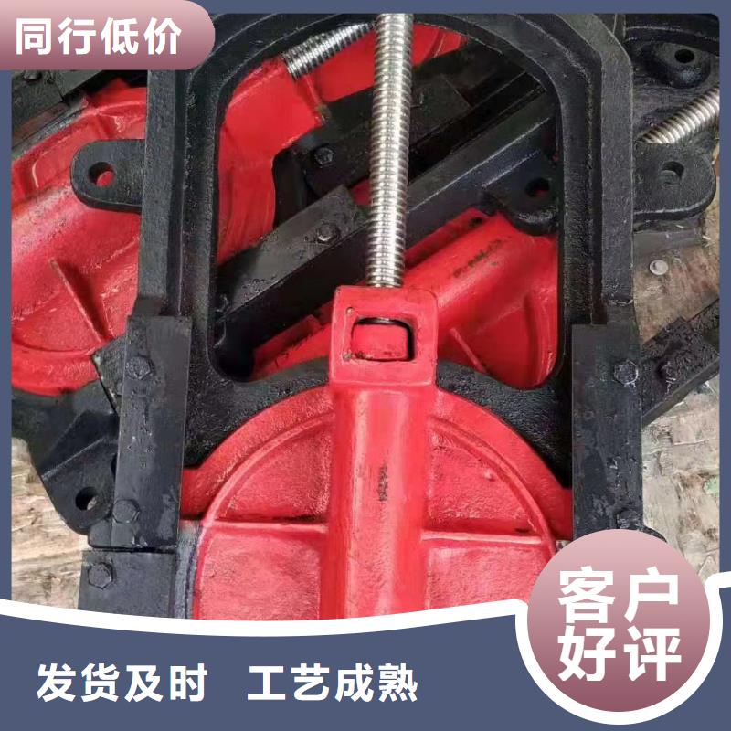 河道铸铁闸门源头好货懂您所需