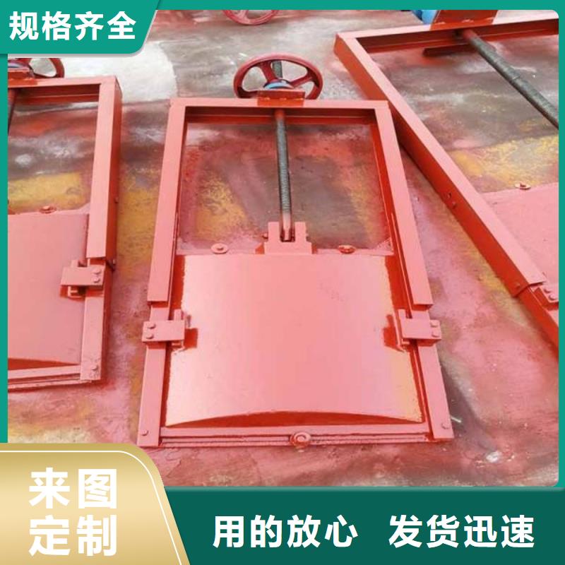 铸铁闸门[供应商价格]当地经销商