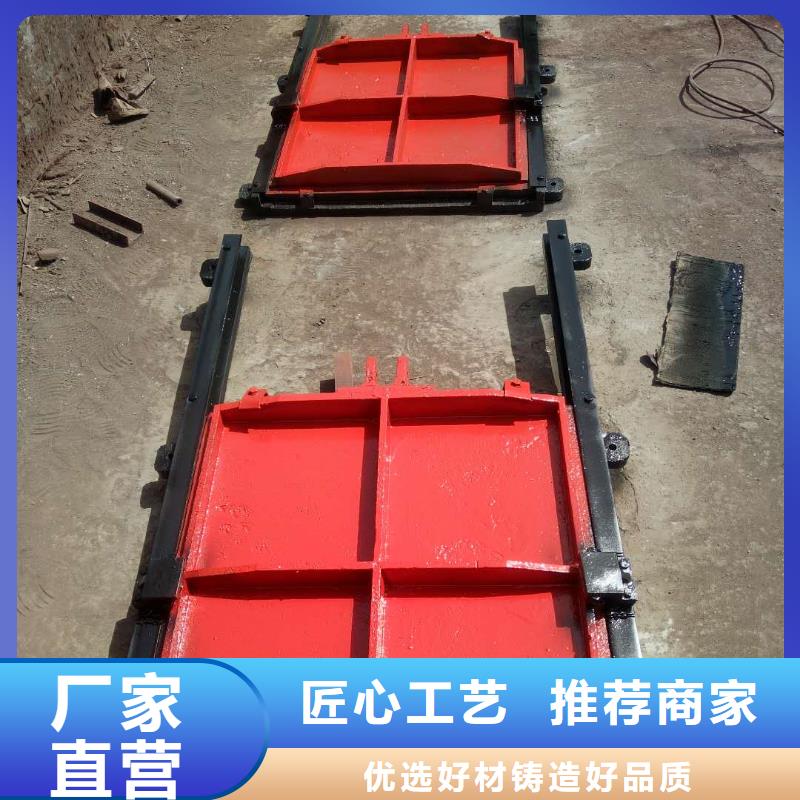 渠道闸门-双向止水铸铁镶铜闸门智能匠心工艺