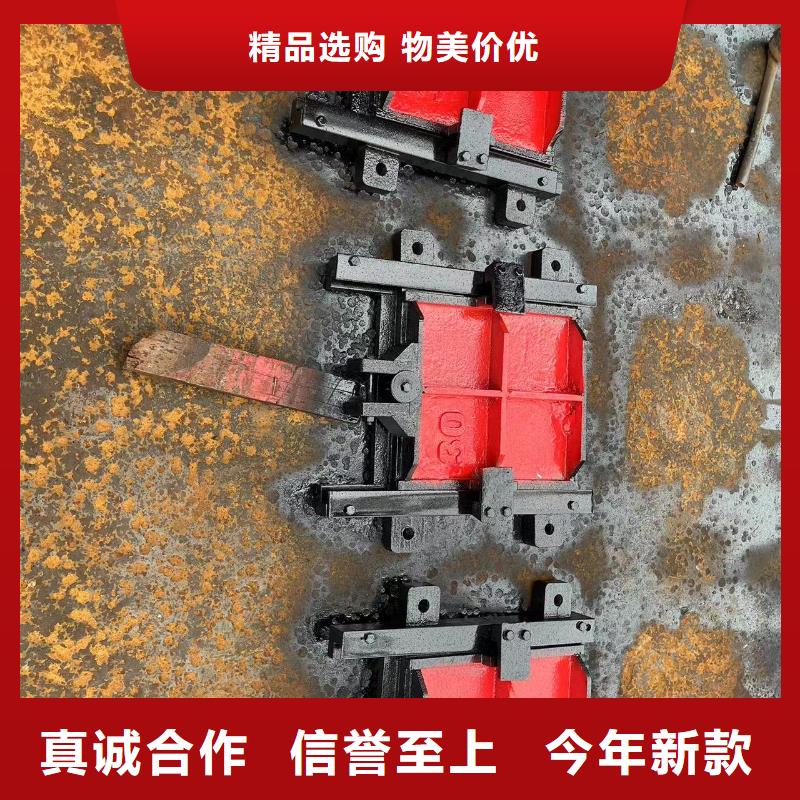 闸门启闭机-双向铸铁镶铜闸门耐用可靠工厂采购