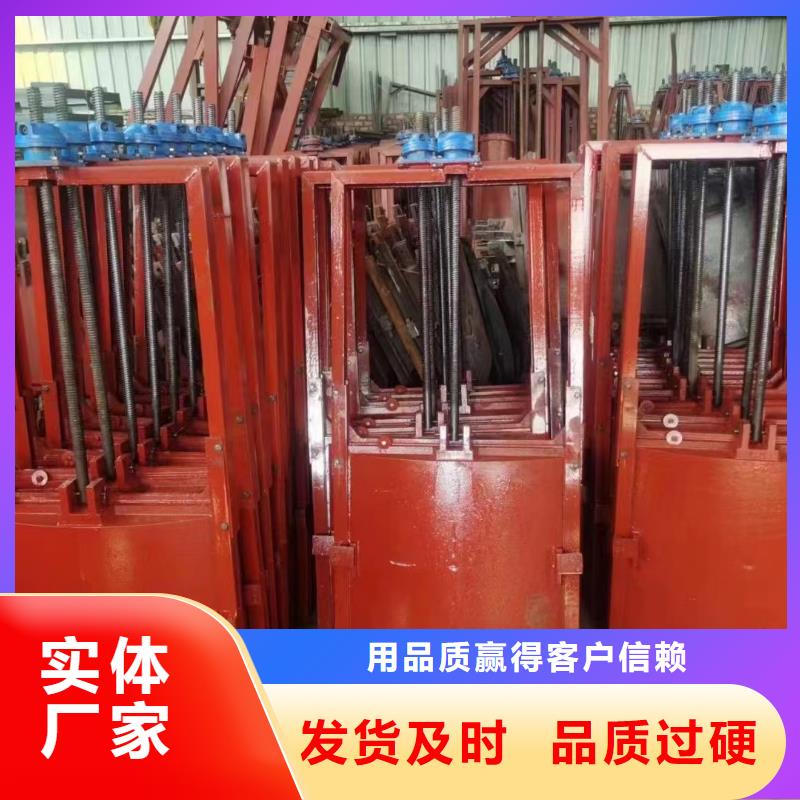 渠道闸门-闸门启闭器经久耐用工艺精细质保长久