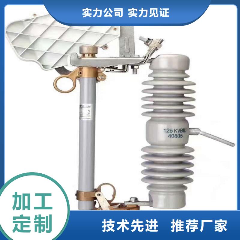 熔断器_金属氧化物避雷器服务周到现货直供