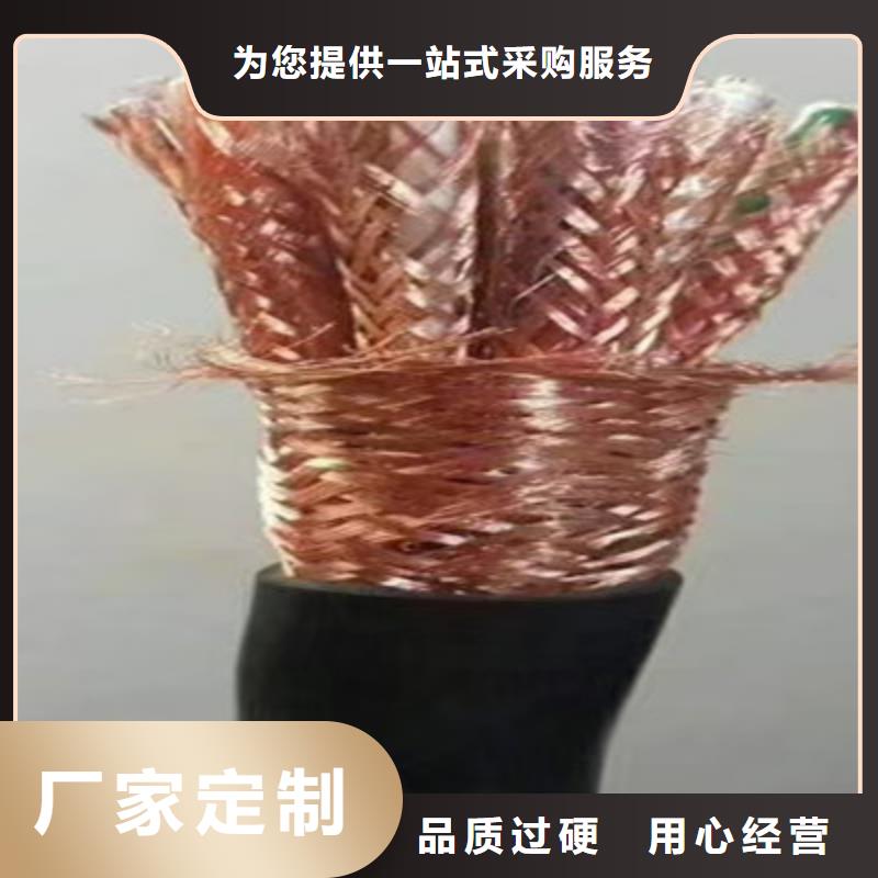 耐高温电缆【屏蔽电缆】品质优良当地经销商