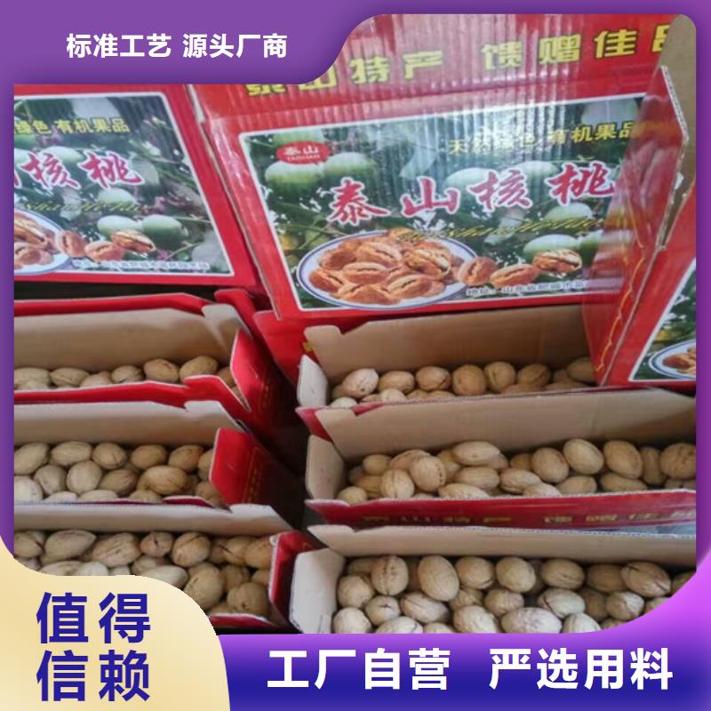 核桃苗桃树苗基地出厂价当地厂家