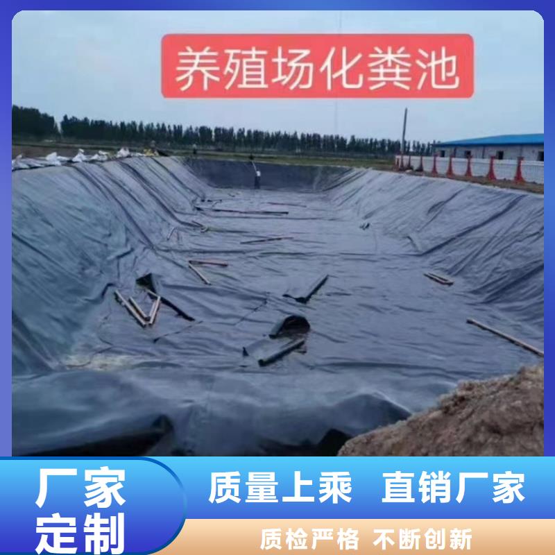 土工膜防渗膜出货快同城制造商