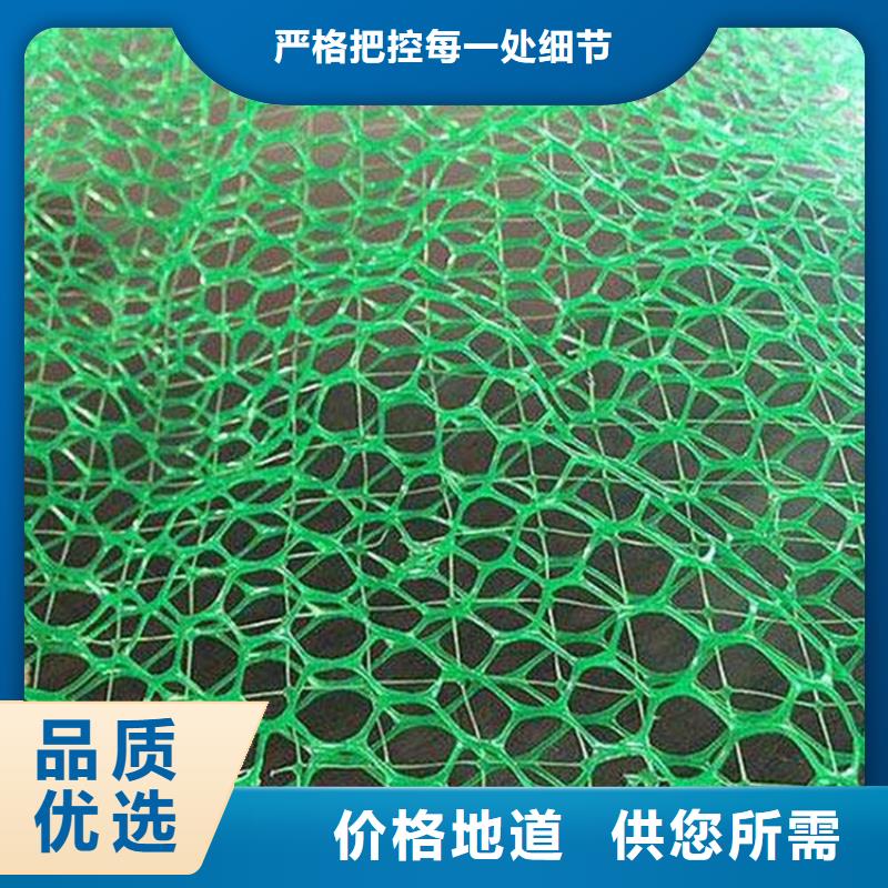 【三维植被网防渗膜货源直销】当地货源