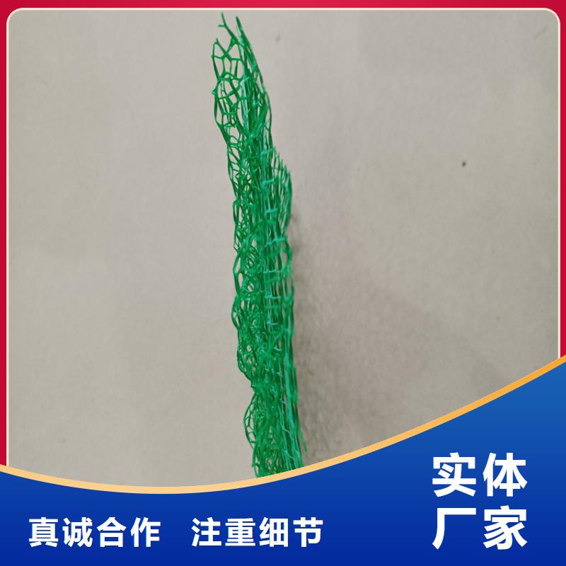 三维植被网土工布国标检测放心购买精品选购
