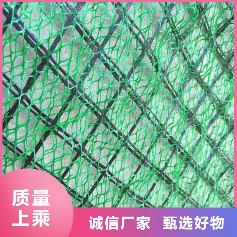 三维植被网【防水板】生产厂家做工精细