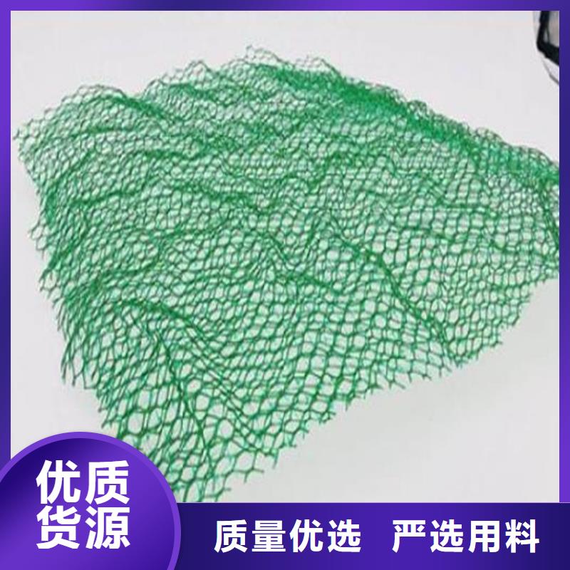 三维植被网_土工布24小时下单发货同城供应商