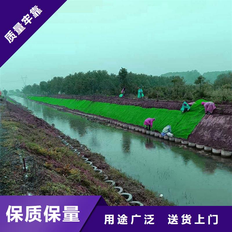 三维植被网土工格栅工厂现货供应本地厂家