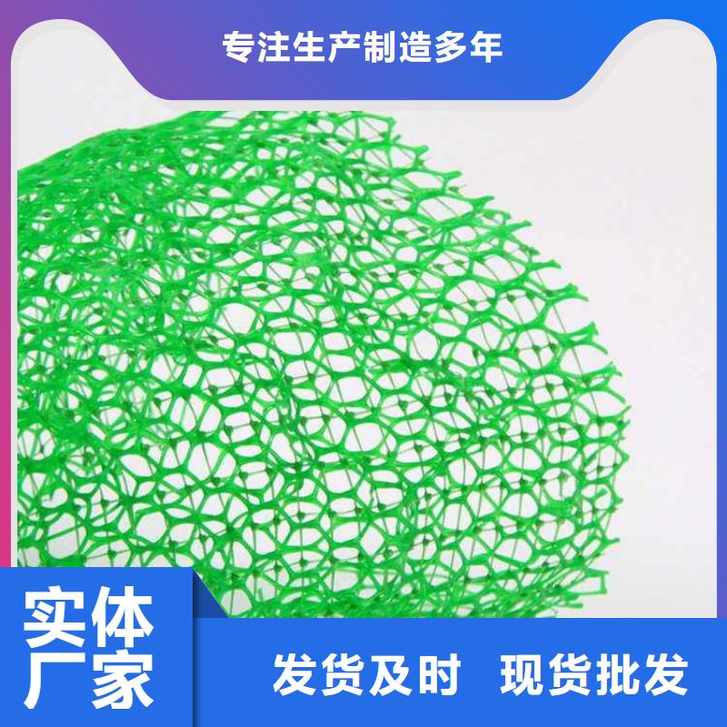 三维植被网,土工格栅拥有多家成功案例当地制造商