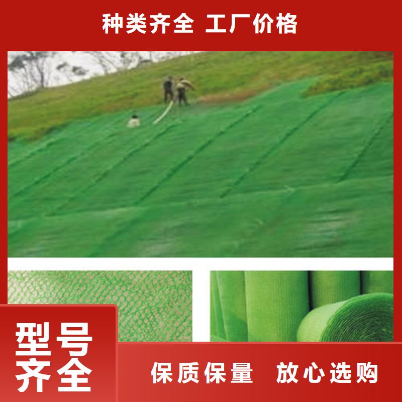 三维植被网【抗裂贴】用心细节打造好品质