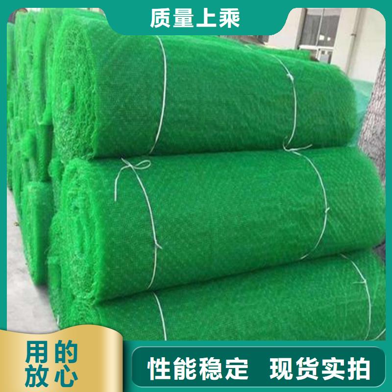 三维植被网-【防草布】厂家货源当地厂家